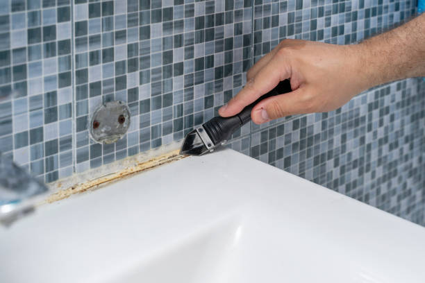 Best Same-Day Mold Removal  in Redland, MD