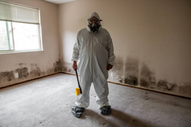 Best Commercial Mold Removal  in Redland, MD